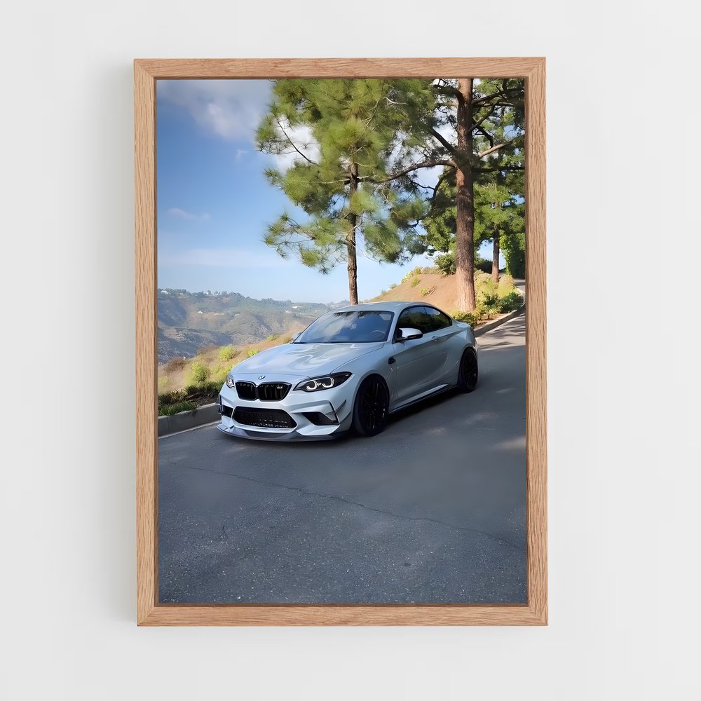 Poster BMW M2 sur Route (vue 4)